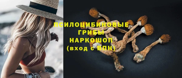 соль курить ск Алзамай