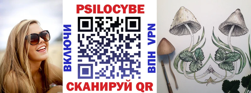 MEGA ТОР  Ленинск-Кузнецкий  Псилоцибиновые грибы Psilocybine cubensis  как найти  